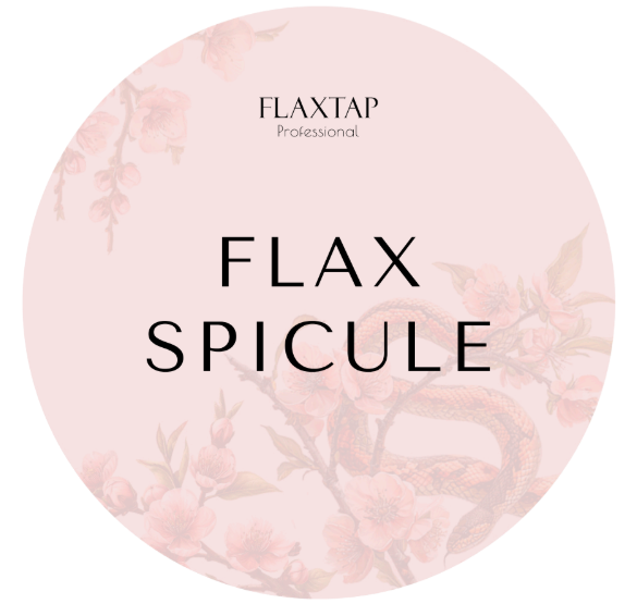 Обучение FlaxSpicule (ФлаксСпикул)