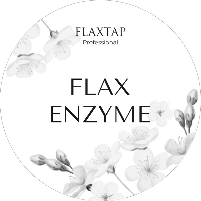 Обучение FlaxEnzyme (ФлаксЭнзим)